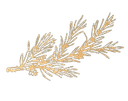 Centuries Mutual Logo